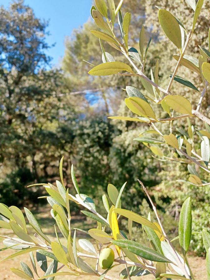 Studio Avec Jardin Entre Aix-En-Provence, Luberon Et Verdon Peyrolles-en-Provence المظهر الخارجي الصورة