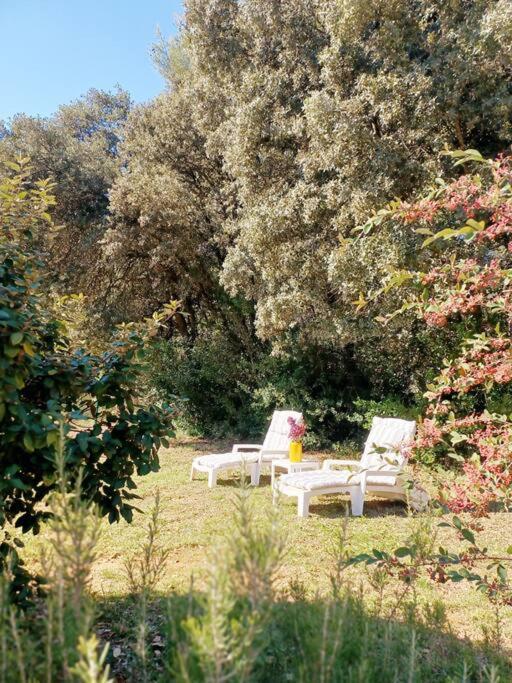 Studio Avec Jardin Entre Aix-En-Provence, Luberon Et Verdon Peyrolles-en-Provence المظهر الخارجي الصورة