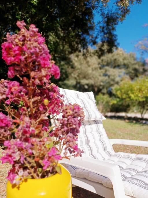 Studio Avec Jardin Entre Aix-En-Provence, Luberon Et Verdon Peyrolles-en-Provence المظهر الخارجي الصورة
